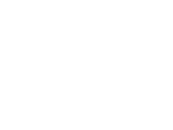 詳細な査定